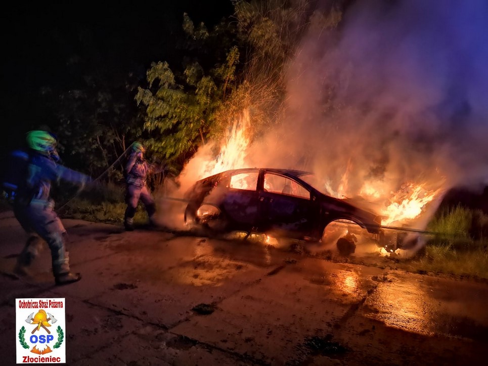 Pożar samochodu przy krajowej dwudziestce 